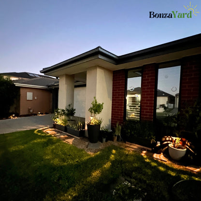 Set Of 2 - Bonza Pathway Solar Lights (For Garden/Pathway Safety/ Landscape & Outdoor Use)