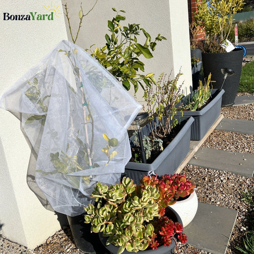 Bonza Plant Mesh Guard
