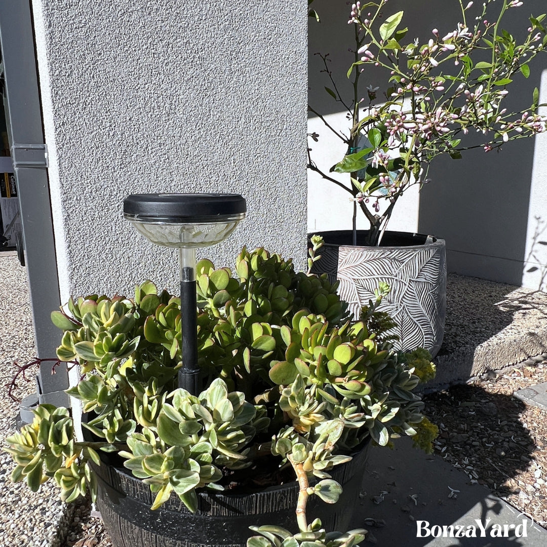 Set Of 2 - Bonza Pathway Solar Lights (For Garden/Pathway Safety/ Landscape & Outdoor Use)